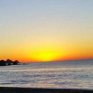 Meet your Posher, Lulu